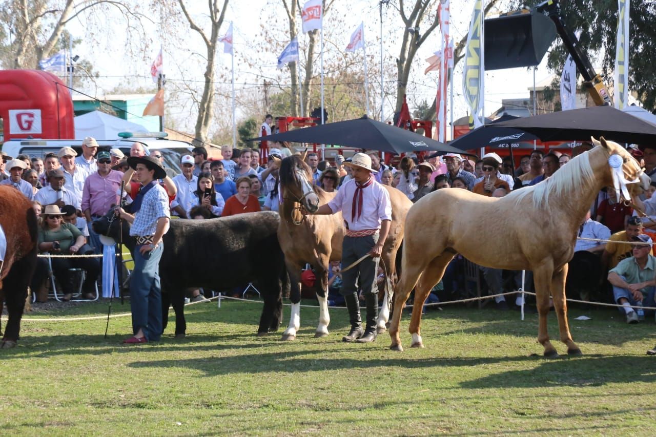 Hoy se lanzará la 97º Exposición de Ganadería, Industria y Comercio