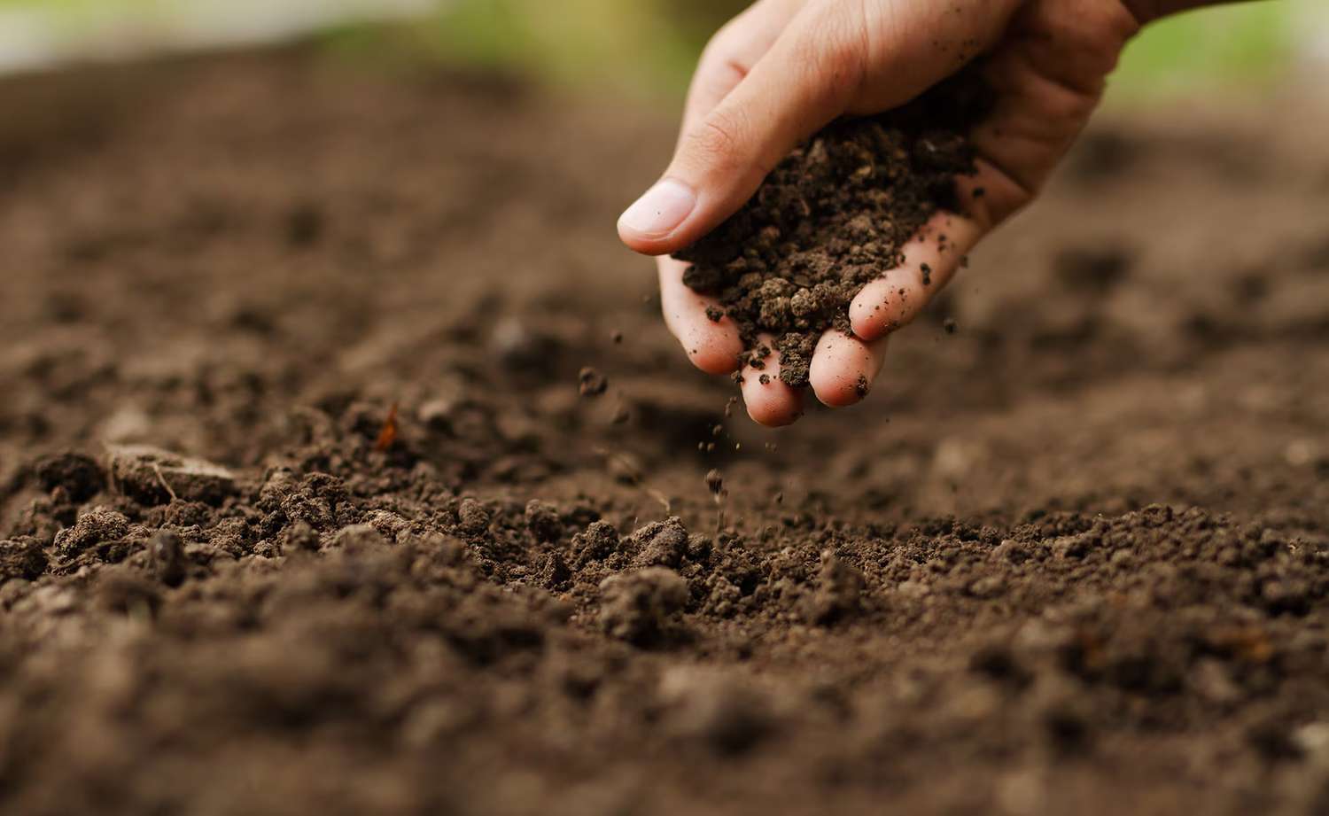 “Una producción agropecuaria sostenible es posible y necesaria”