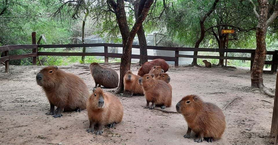 La Municipalidad de Villaguay presentará el Plan de Manejo de la Reserva Natural La Chinita