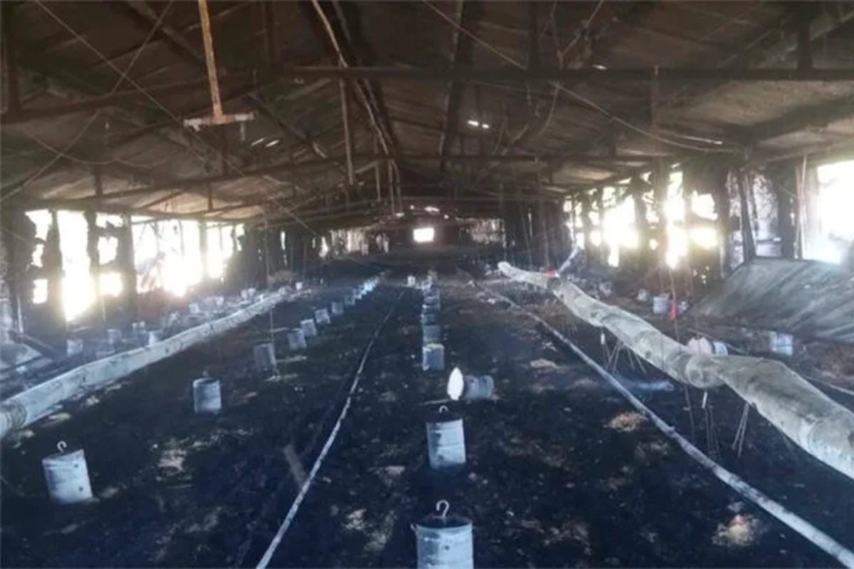 San Justo: Un incendio destruyó por completo un galpón avícola