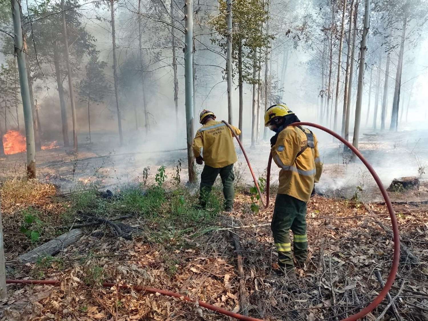 Bomberos Voluntarios de Entre Ríos reclaman
al gobernador por falta de respuestas de
Defensa Civil