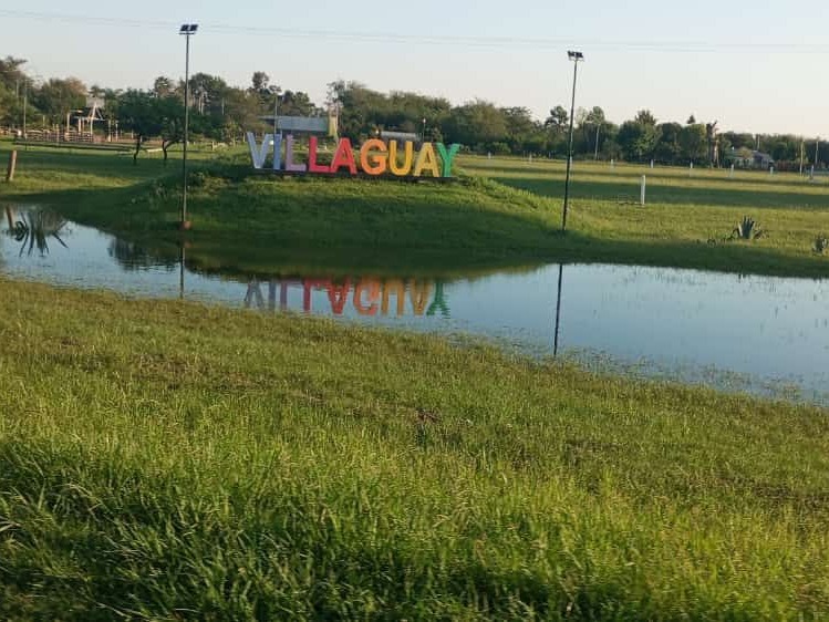 Lo que dejó el temporal: reclamos y videos virales