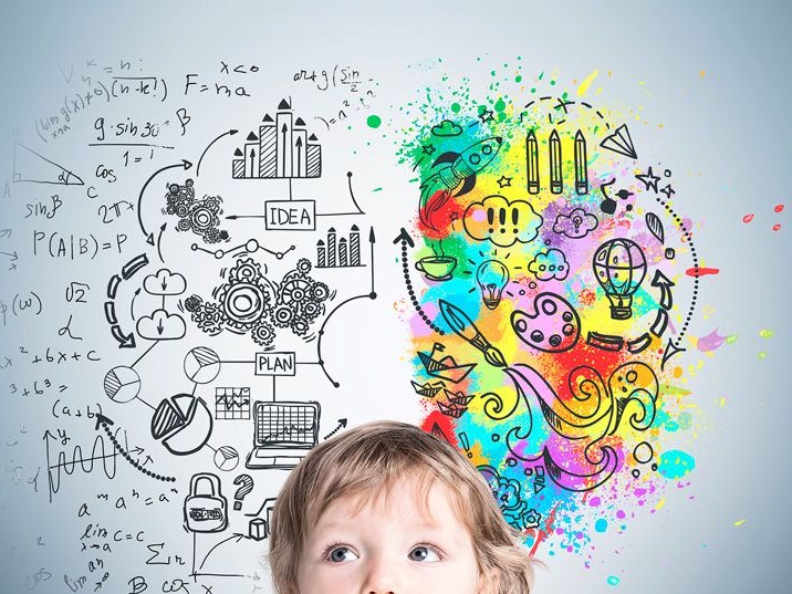 Invitan a participar de una capacitación en Neuropedagogía