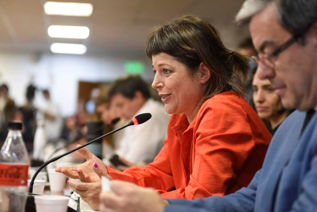 Gaillard presentó proyecto para que el Ejecutivo explique el recorte de medicamentos por parte de Pami