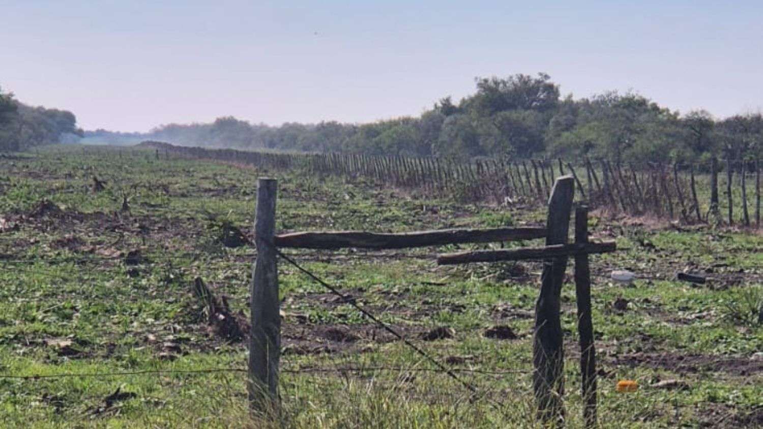 Alarmante desmonte de más de 130 hectáreas en zona de conservación: apuntan al Estado y a una empresa agropecuaria
